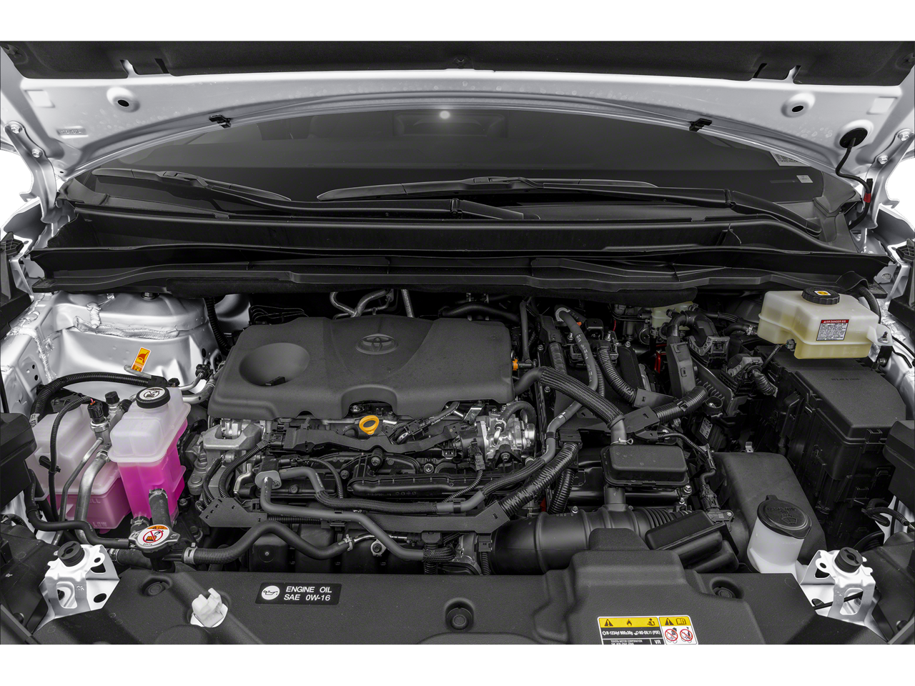 2026 Toyota Sienna Mobility LE 8 Passenger