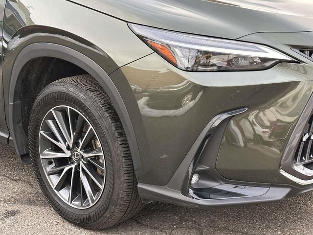 2025 Lexus NX 350h Premium