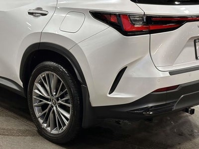 2023 Lexus NX 350h Premium