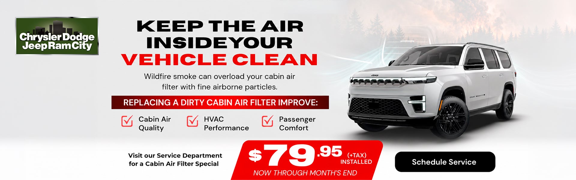 Cabin Air Filter