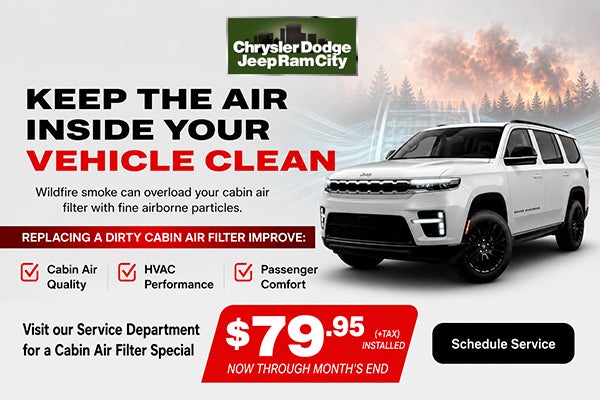 Cabin Air Filter